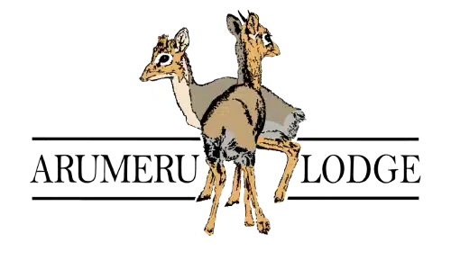 Ikoma Hills Logo